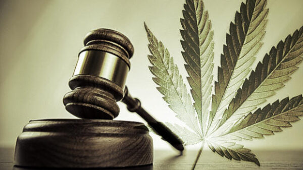 Cannabis leaf beside gavel