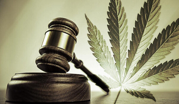 Cannabis leaf beside gavel