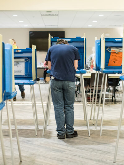 A picture of a person voting