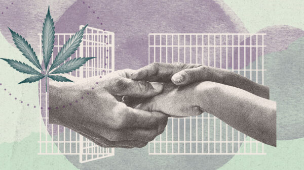 Collage of marijuana leaf, open cell door, and hands holding