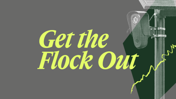 Get the Flock out