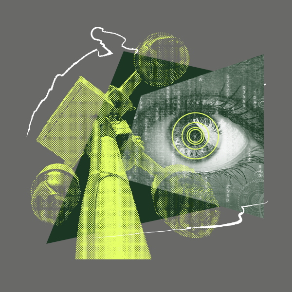 Collage of Flock surveillance