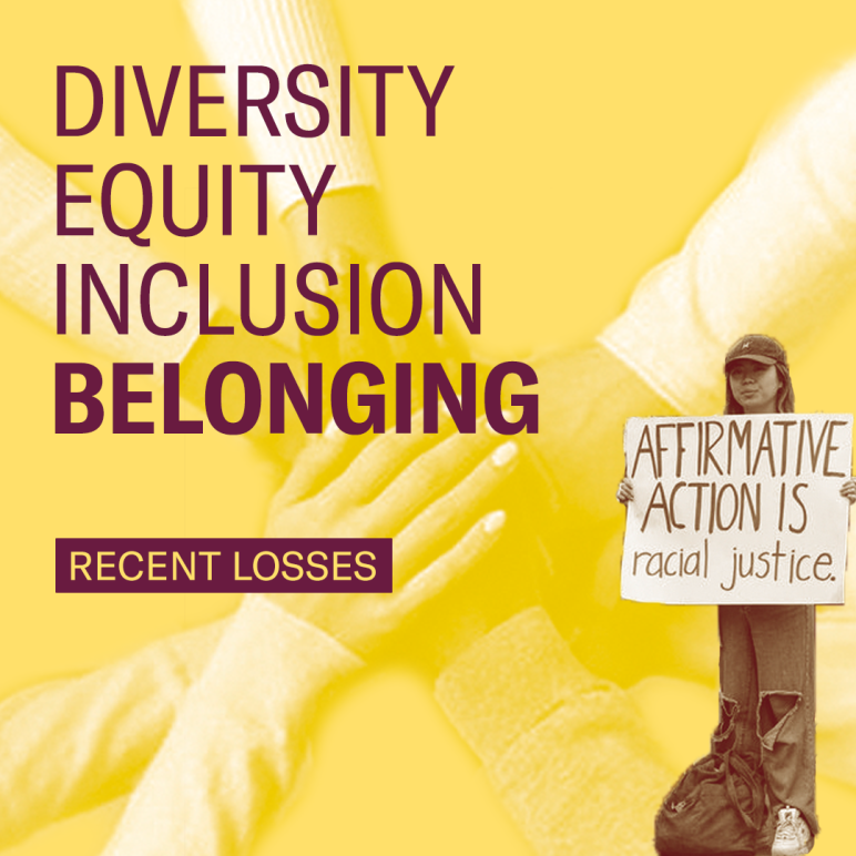 Diversity Equity Inclusion Belonging Recent Losses