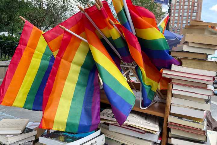 A group of rainbow flags arranged among a pile of books.