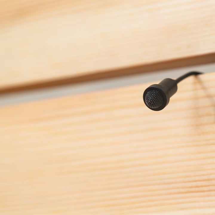 Hidden microphone coming between wooden slats on wall.