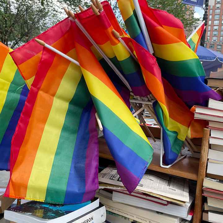 A group of rainbow flags arranged among a pile of books.