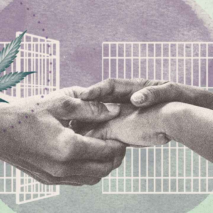 Cannabis Marijuana Weed Legalization Clemency Expungement Reform