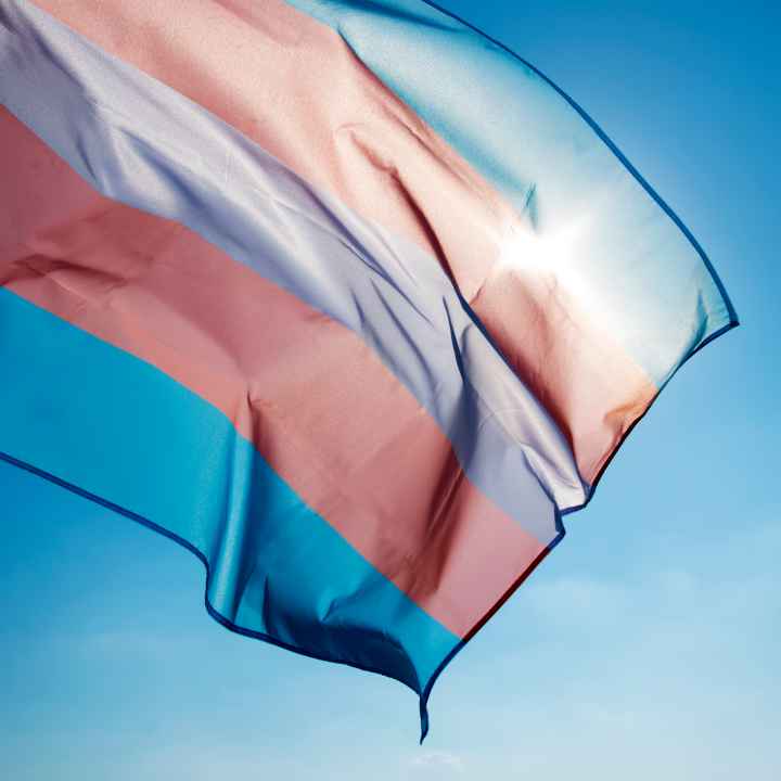 Transgender Pride Flag