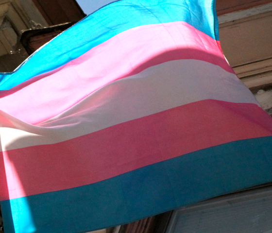 ACLU logo Transflag